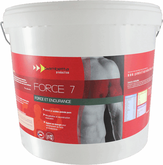 FORCE 7 – Image 2
