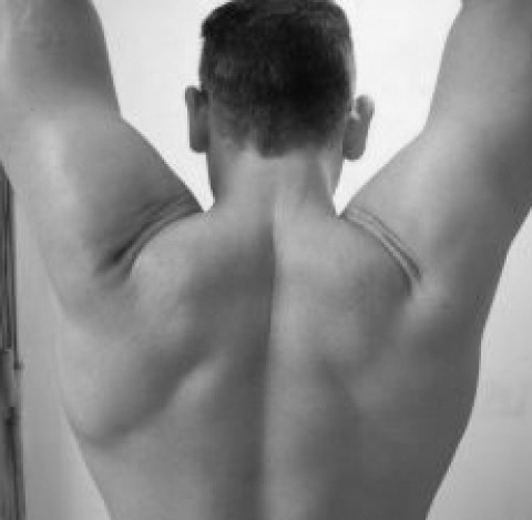prévention des blessures aux épaules musculation