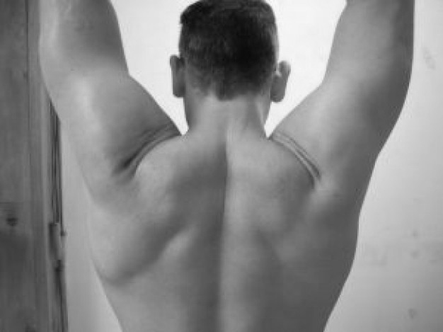 prévention des blessures aux épaules musculation